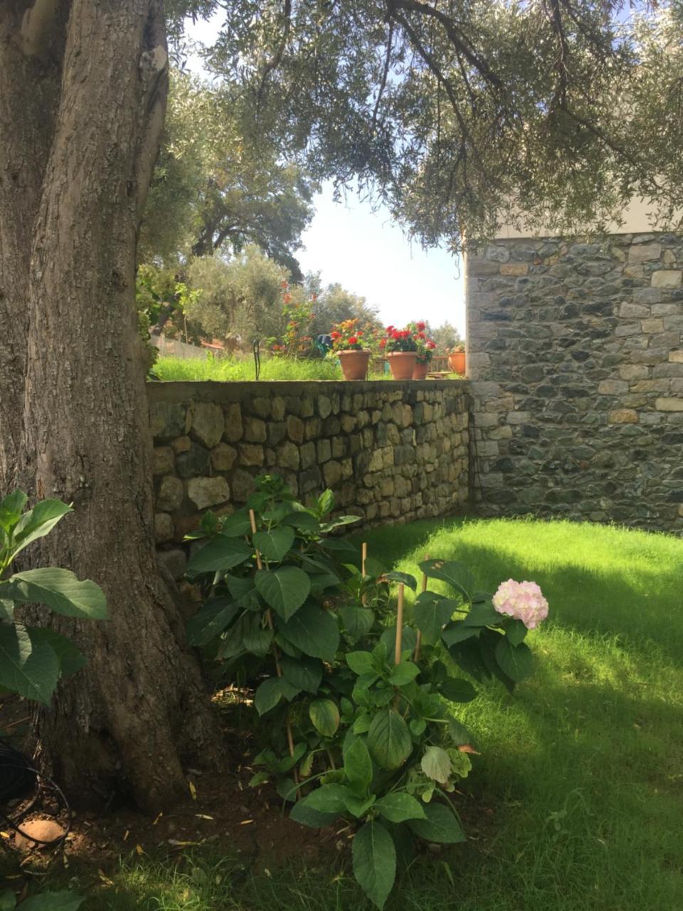 Samothraki Suites Kalisti Xiropotamos المظهر الخارجي الصورة
