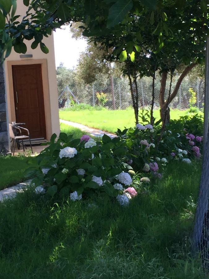 Samothraki Suites Kalisti Xiropotamos المظهر الخارجي الصورة