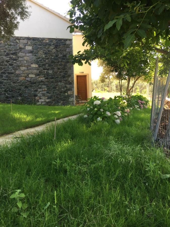 Samothraki Suites Kalisti Xiropotamos المظهر الخارجي الصورة